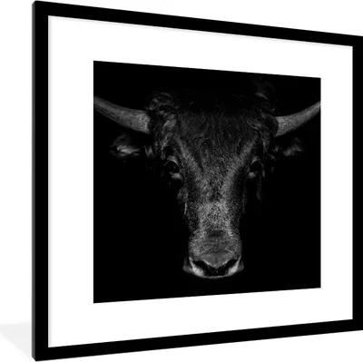 Produktbild von MuchoWow® Gerahmtes Poster Taurus - Tiere - Schwarz - Weiß 40x40 cm - Poster mit Schwarzem Bilderrahmen Wandposter Rahmen Foto Bilder - Poster - Plakat im Rahmen