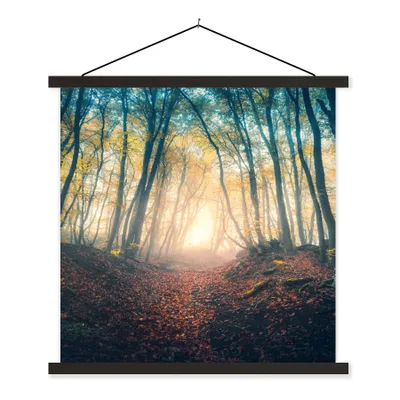 Produktbild von MuchoWow® Textilposter Wald - Nebel - Sonne - Herbst 40x40 cm mit schwarzem Rahmen - Fotos