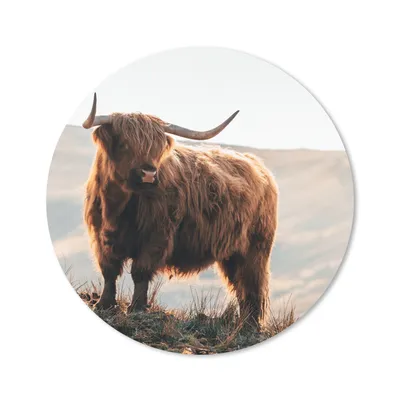 Produktbild von MuchoWow® Mauspad Mousepad Schottische Highlander - Tiere - Ländlich - Landschaft - Kuh - Natur 20x20 cm - Mousepads - Maus Mat - Pad - Mausunterlage - Schreibtischmatte