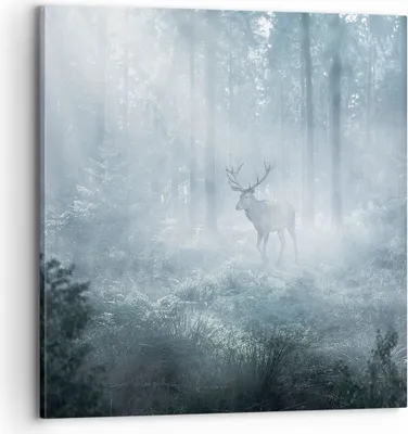 Produktbild von Bild auf Leinwand - Leinwandbild - Einteilig - Hirsch Wald Morgendämmerung - 70x70cm - Wand Bild - Wanddeko - Wandbilder - Leinwanddruck - Bilder - Wanddekoration - Leinwand bilder - AC70x70-4667