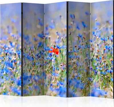 Produktbild von 5-teiliger Einseitiger Vlies Paravent - A sky-colored meadow - cornflowers II 225x172 cm Blumen b-C-0455-z-c