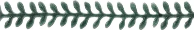 Immagine prodotto di 5XKNORR prandell 218306192 WachsBl.ranke1,3x20