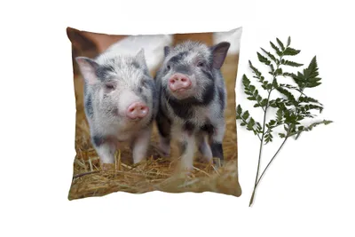 Produktbild von MuchoWow® Zierkissen Sofakissen Wohnzimmer Dekokissen 40x40 cm Schwein - Tiere - Ferkel - Foto Kissen - Schlafzimmer Dekoration