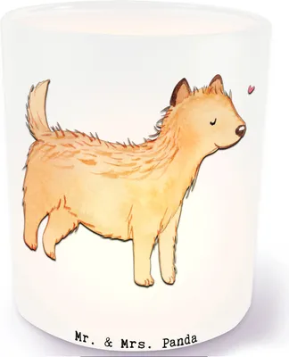 Produktbild von Mr. & Mrs. Panda Kerzenhalter Cairn Terrier Lebensretter - Transparent - Geschenk, Teelichthalter, Windlicht Glas, Outdoor, Kerzen