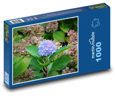 Obrázok produktu pre Puzzle 1000 Hortenzia v záhrade - martinpuzzle