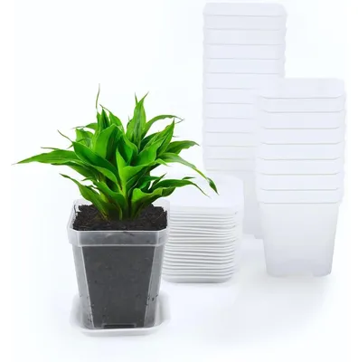 Zdjęcie produktu dla Doniczka do siewu kwadratowa przezroczysta 7 x 7,8 cm 24 szt.