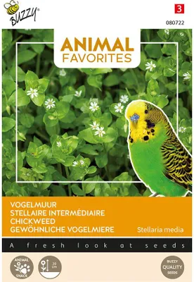 Produktbild von Gewöhnliche Vogelmiere | Kleintiersaaten von Buzzy Seeds