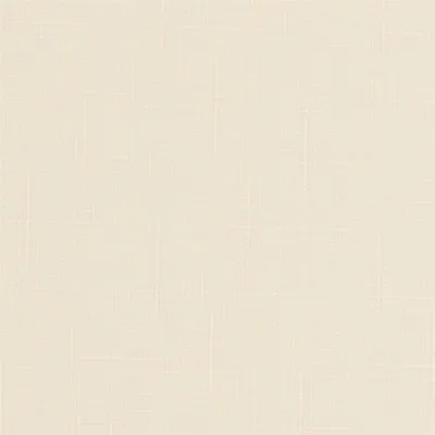 Image de Rouleau De Shantung 875 60X170