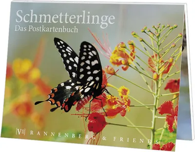 Produktbild von Postkartenbuch Schmetterlinge, Postkartenbücher Ansichtskarte Postkarte Tier Falter
