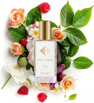 Produktbild von FP French Perfumes | Damenparfüm Nr. 741 – Aangel Noova – 33 ml – 20 % Parfümöl | Orientalisch-Blumiger Damenduft – Elegant, Feminin & Langanhaltend