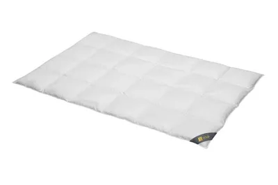 Produktbild von Daunendecke 135x200 cm 100 % Gänsedaunen Warme  Bettdecke Steppdecke Daunen SPESSARTTRAUM GOLD