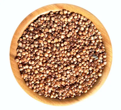 Immagine prodotto di 25 kg. Bollitura di sorgo rosso /sorghum millet/ - Mangime diretto direttamente dal produttore