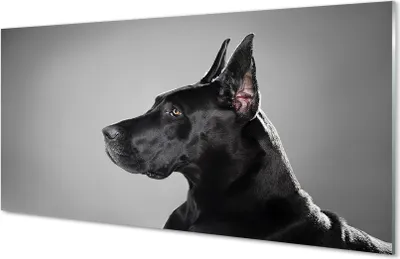 Produktbild von Glasbilder 120x60 Wandkunst Schwarzer Hund