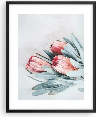 Produktbild von Gerahmtes Poster - Schwarzer Rahmen - Blume Eukalyptus Australier - 40x50 cm - Wand Bild - Wanddeko - Wandbilder - Kunstposter - Wandposter - Bilderrahmen - Bilder - Kunstdruck - P2BPA40x50-5016