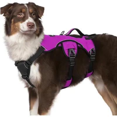 Produktbild von Ausbruchsicheres Hundegeschirr M Lila mit Griff, Anti-Zug, atmungsaktiv, verstellbar
