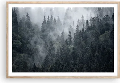 Produktbild von Gerahmtes Poster - Rahmen in heller Eiche - Wald Baum Natur - 91,5x61 cm - Wand Bild - Wanddeko - Wandbilder - Kunstposter - Wandposter - Bilderrahmen - Bilder - Kunstdruck - Wandbild P2NAA91x61-4074