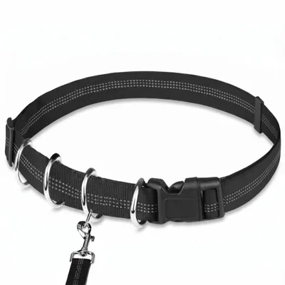 Obrázek produktu pro Natažitelný vodítko pro psy o délce 193 cm, vodítko s prodloužením pro psy do 68 kg, vodítko odolné proti přetržení – DOGZIP