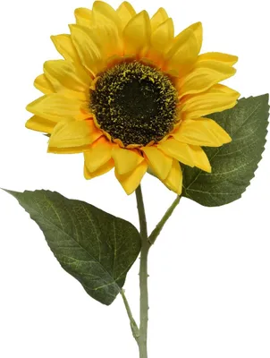 Produktbild von Kaemingk Sonnenblume Gelb Ø 14 cm 64 cm - Kunstblumen
