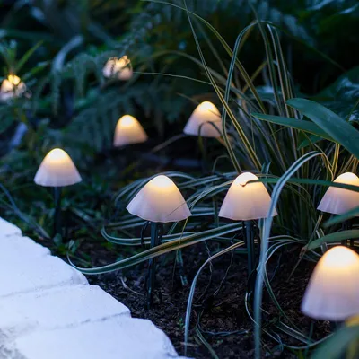 Obrázek produktu pro Světelná řetězka Lights4fun s 12 LED žárovkami, napájená solární energií, s motivem hub, teplé bílé barvy. Solární lampičky ve tvaru hub pro venkovní dekorace, vhodné do zahrady, na balkon nebo jako zahradní osvětlení. Odolné vůči povětrnostním vlivům, s solárním konektorem