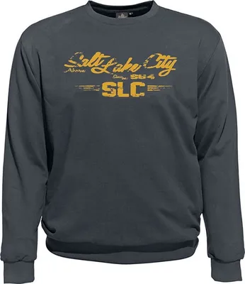 Produktbild von Übergrößen Sweatshirt AHORN SPORTSWEAR SLC orange Iron Grey 3XL