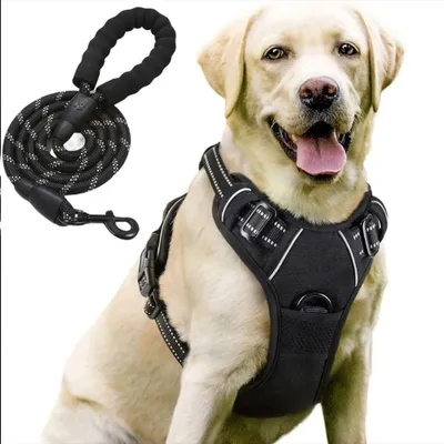 Image de Harnais Chien Réglable Léger Respirant Réfléchissant Anti-Traction avec Laisse - Noir Taille M