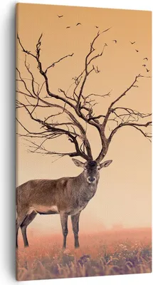Produktbild von Bild auf Leinwand - Leinwandbild - Hirsch Baum Nebel Wald - 55x100cm - Wand Bild - Wanddeko - Leinwanddruck - Bilder - Kunstdruck - Wanddekoration - Leinwand bilder - Wandkunst - PA55x100-3127