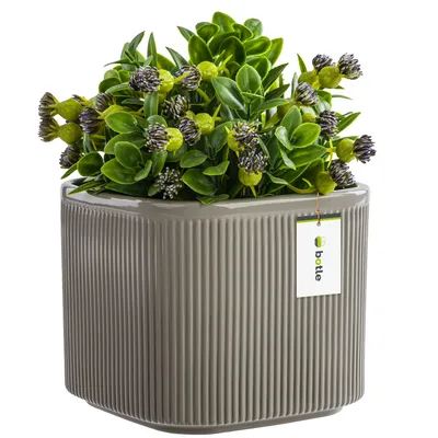 Produktbild von Blumentopf Blumenübertopf Gehäuse Farbe Grau 14,5 cm H13,5 cm Glanz Oberfläche Modern Glamour