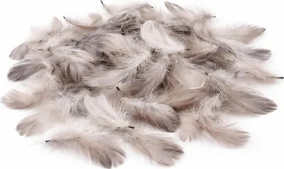 Produktbild von Dekofedern 15g, ca. 5-10cm, 15 Farben zur Auswahl, Farbe:Sand