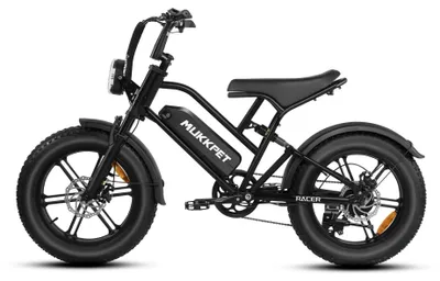 Image de VTT électrique - Batterie lithium 48V - Moteur brushless 250W - Autonomie jusqu'à 60 km - Roues de 51 cm - Vitesse maximale : 25 km/h