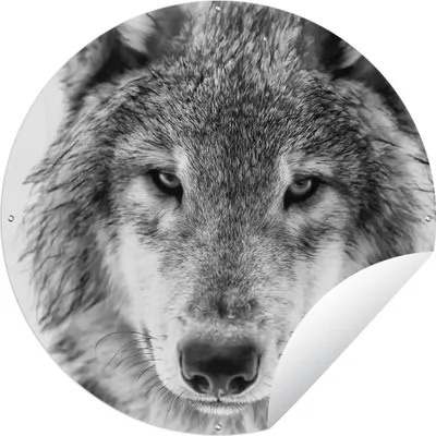 Produktbild von MuchoWow® Gartenposter Outdoor-Poster Rund Tierprofil Wolf in schwarz und weiß Ø 120 cm Gartendeko Rundes Poster draußen