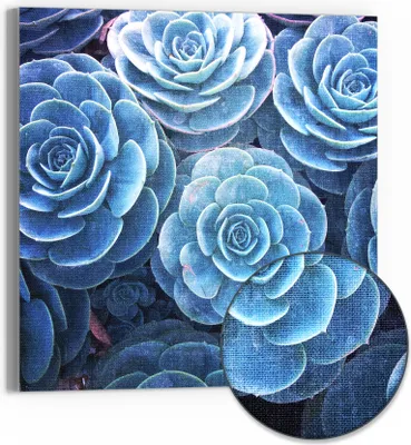 Produktbild von DEQORI Hybrid Leinwand Bild 50x50 cm 'Blaue Sukkulentenpracht' Wandbild Glas flach modern