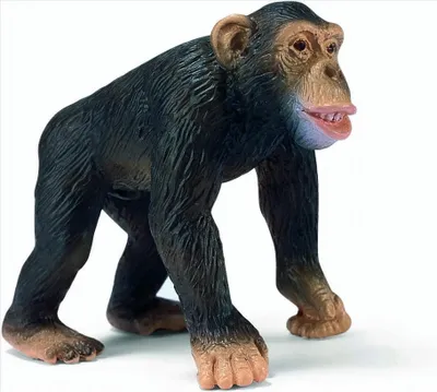 Produktbild von Schleich 14189 Schimpansen-Männchen
