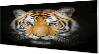 Produktbild von Glasbilder 125x50 Wandkunst Tiger
