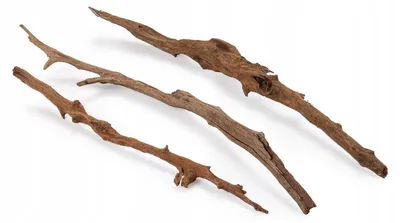 Image de Décoration d'aquarium, racine de mangrove 30-40 cm, naturelle