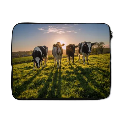 Produktbild von MuchoWow® Laptop Hülle 15 Zoll Kuh - Gras - Sonne Laptoptasche - Laptoptasche - Sleeve - Rundum-Schutz