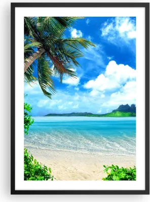 Produktbild von Gerahmtes Poster - Schwarzer Rahmen - Strand Urlaub Insel Palme - 50x70 cm - Wand Bild - Wanddeko - Wandbilder - Wandposter - Bilderrahmen - Bilder - Kunstdruck - Wandbild - P2BPA50x70-2528