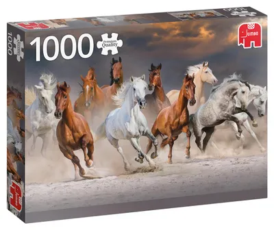 Produktbild von Premium Collection Pferde in der Wüste - 1000 Teile, 1000 Stück(e), Tiere, 12 Jahr(e)