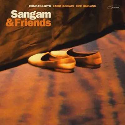 Productafbeelding van Sangam & Vrienden