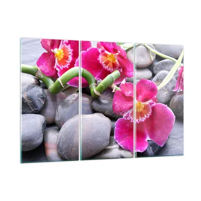 Produktbild von Bilder auf glas - Asiatisch bambus orchidee steine - 105x70cm - Glasbilder - Wandbilder - Kunstdruck - zum Aufhängen bereit - Wanddekoration aus Glas - Glas Bilder - Wandbild auf Glas - GCE105x70-0465