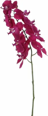 Produktbild von Mica künstliche Phalaenopsis violett 71 cm