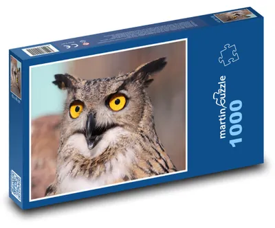 Produktbild von Puzzle 1000 Uhu mit gelben Augen - martinpuzzle