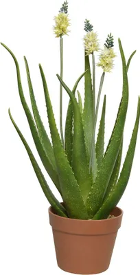 Produktbild von Kunstpflanze Agave Polyester grün H 60 cm Ø 13 cm
