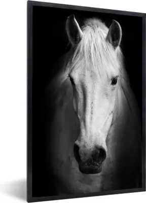 Produktbild von MuchoWow® MuchoWow® Gerahmtes Poster Pferd - Porträt - Schwarz - Weiß 60x90 cm - Poster mit zchwarzem Bilderrahmen - Kunst