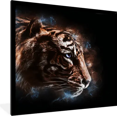 Produktbild von MuchoWow® MuchoWow® Gerahmtes Poster Tiger - Tiere - Orange 40x40 cm - Poster mit zchwarzem Bilderrahmen - Mit Rahmen - Wanddekoration Schlafzimmer