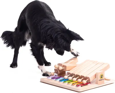 Produktbild von My Intelligent Dogs Interaktives Hundespielzeug Intelligenz, Hundepuzzle