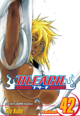 Produktbild von Bleach, Vol. 42