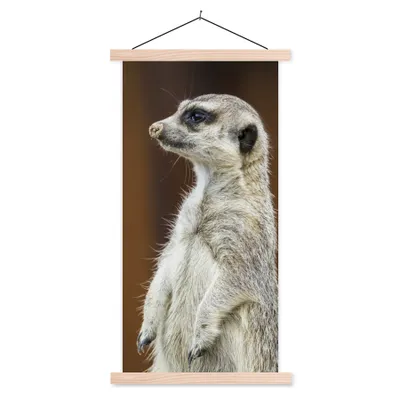 Produktbild von MuchoWow® Textilposter Erdmännchen - Tier - Spiel 60x120 cm mit holzfarbenen Rahmen - Holz