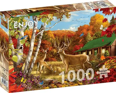 Zdjęcie produktu dla Puzzle 1000 elementów Enjoy – Gdzieś na polu