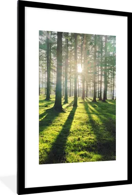 Produktbild von MuchoWow® Gerahmtes Poster Bäume - Natur - Wald 60x90 cm - Poster mit Schwarzem Bilderrahmen Wandposter Rahmen Foto Bilder - Dekoration - Wandposter Wohnzimmer - Hochwertig