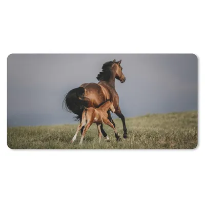 Produktbild von MuchoWow® Mauspad Mousepad Tiere - Pferde - Fohlen 60x30 cm - Mousepads - Maus Mat - Pad - Mausunterlage - Nachhaltig